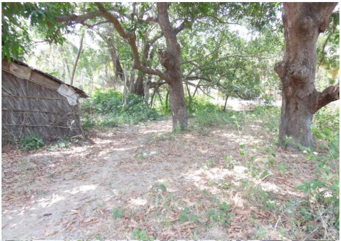 Plot for Sale in Benaulim