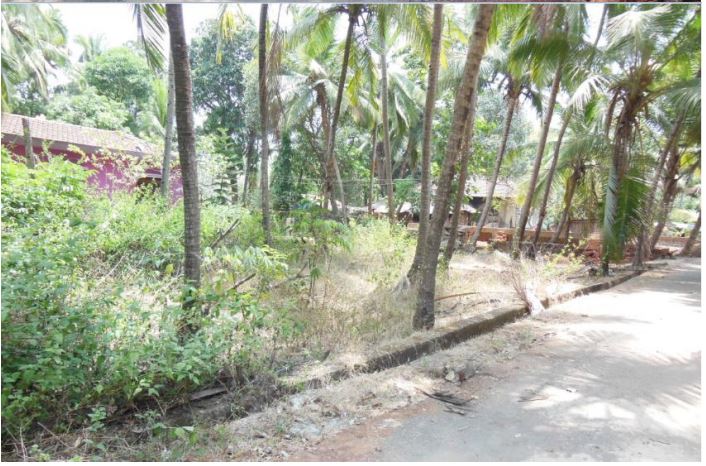 Plot for Sale in Benaulim