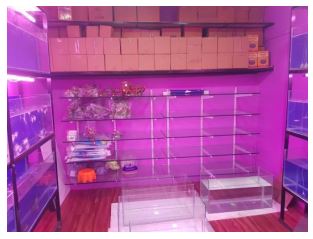 Shop for Rent in Margao