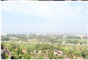 3 BHK Flat for Sale in Donapaula