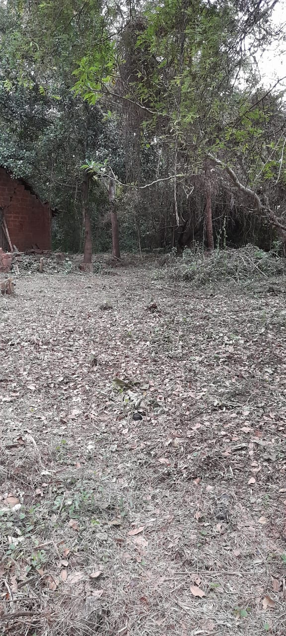 Property For Sale in Carmona Village