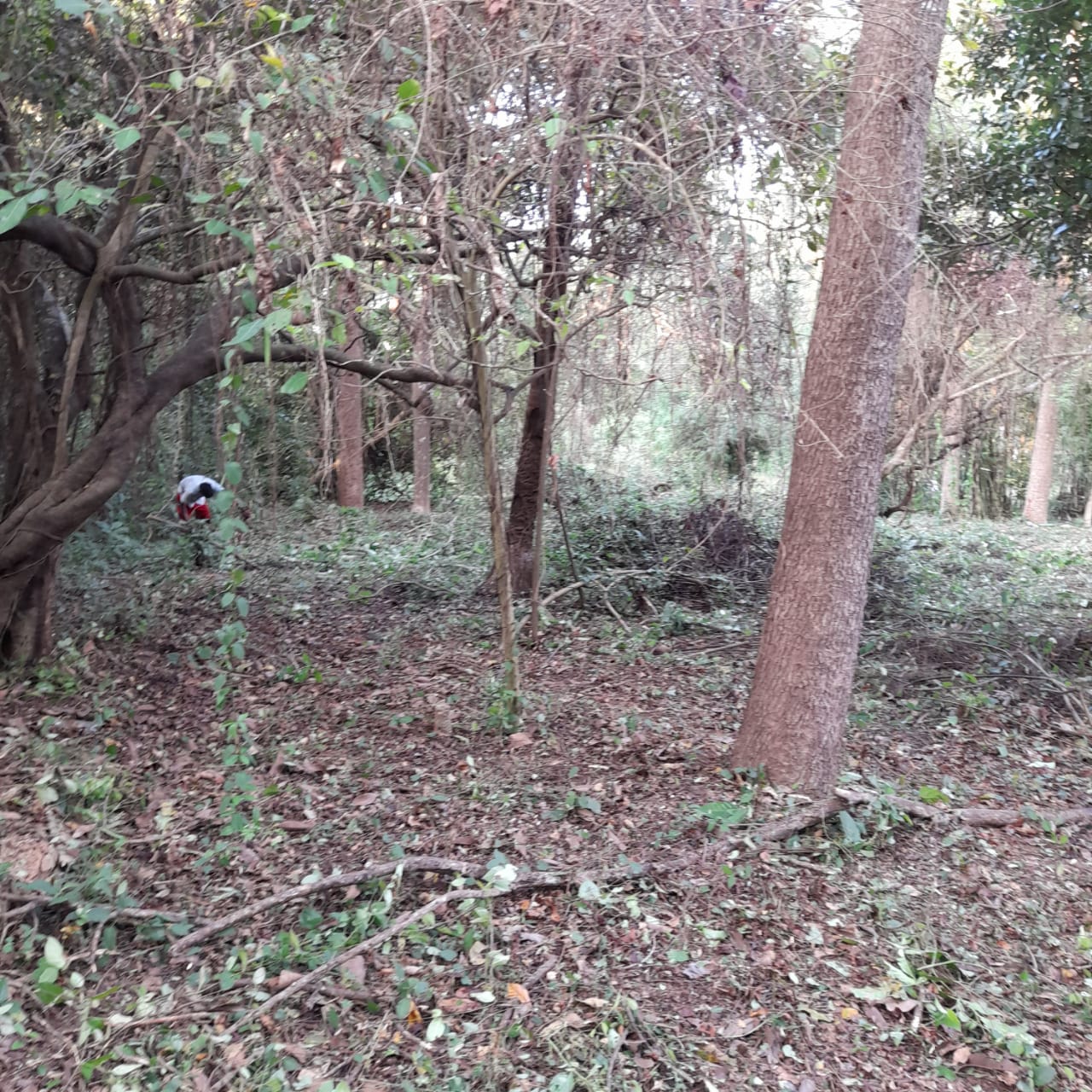 Property For Sale in Carmona Village