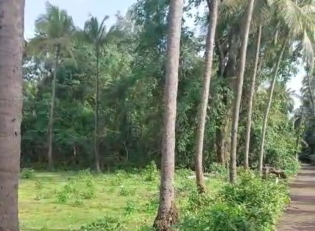 Beautiful 2,000 sqm Countryside Plot in North Goa