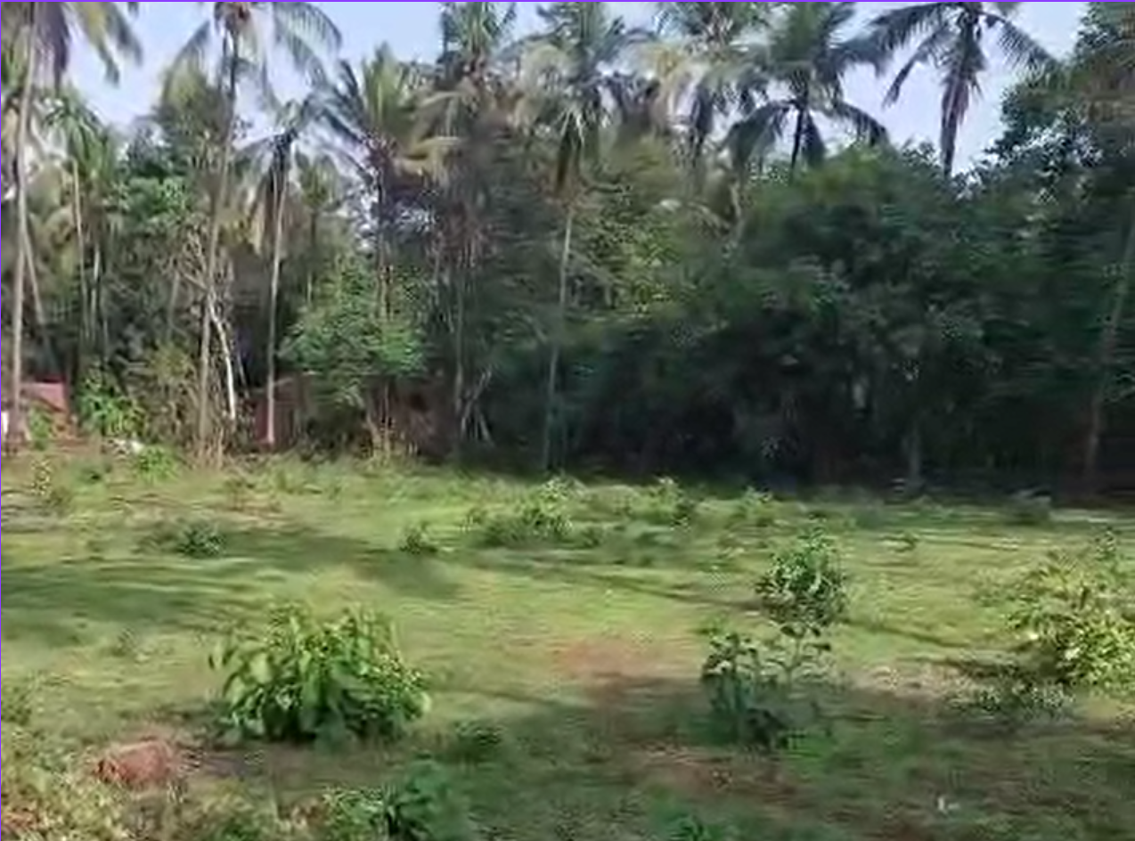 Beautiful 2,000 sqm Countryside Plot in North Goa