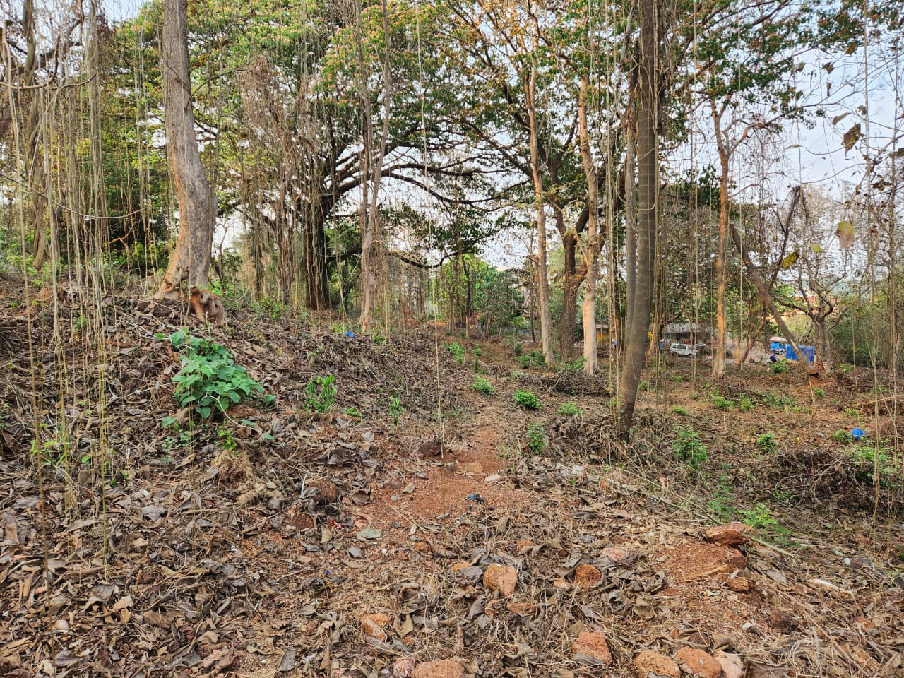 Premium Development Land Opportunity in Ella, Goa