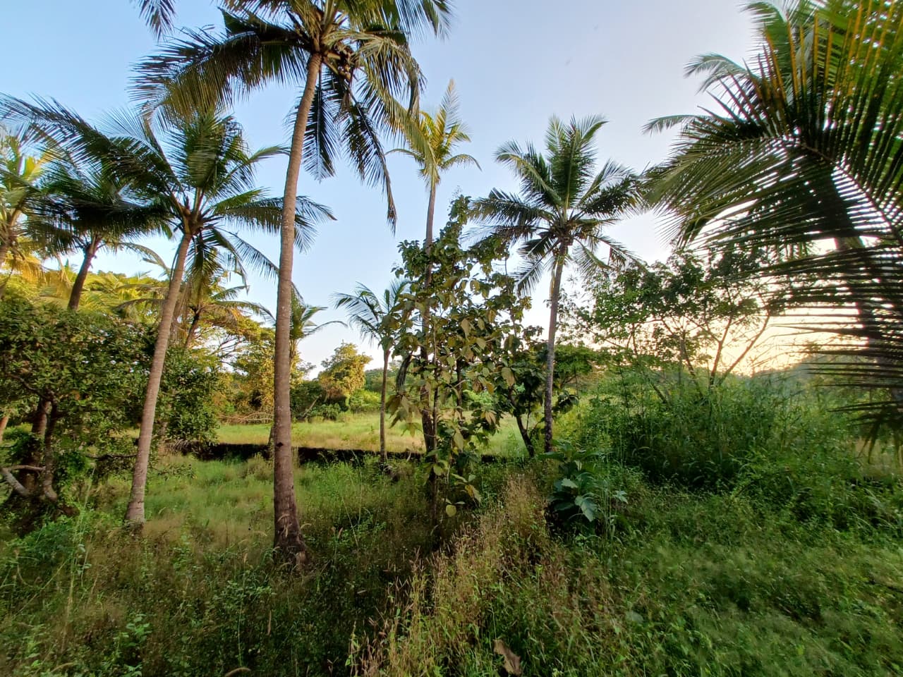 Beautiful Vintage Portuguese House for Sale in South Goa